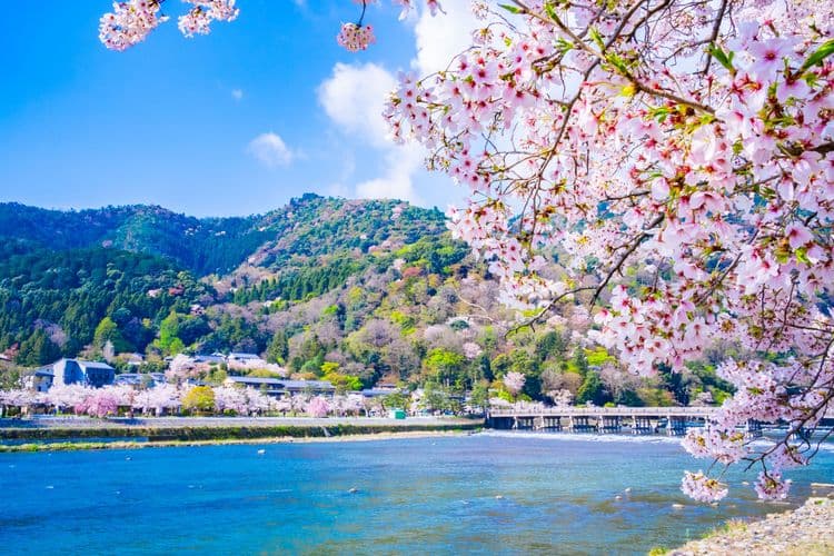 Kyoto On Your Own
