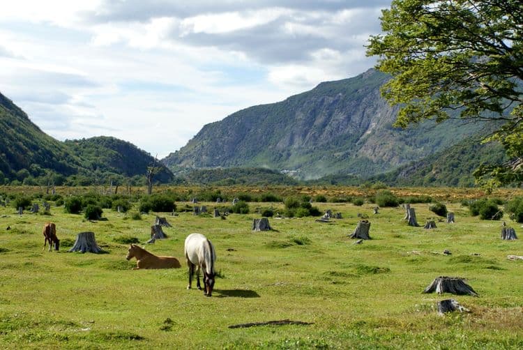 Best Of Ushuaia: Drive To The "End Of The World" (Guided In Portuguese)