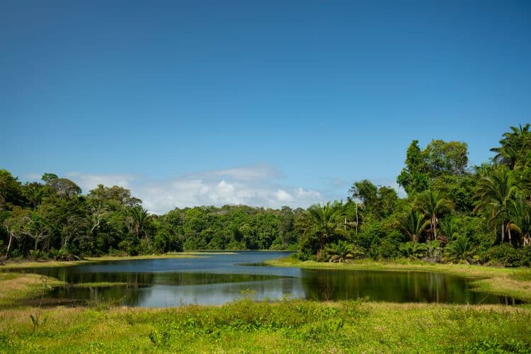 Gatun Lake Cruise & Locks