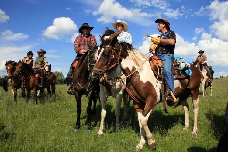 Port Vila Horse Trek