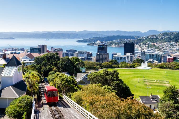 Best Of Wellington: Shenandoah - A Unique Kiwi Experience