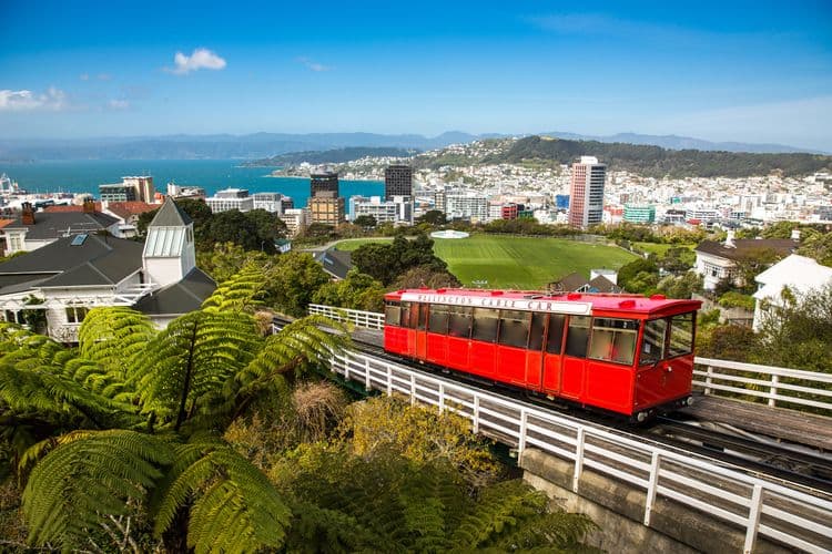 Local Connections: Te Papa Museum & Cable Car
