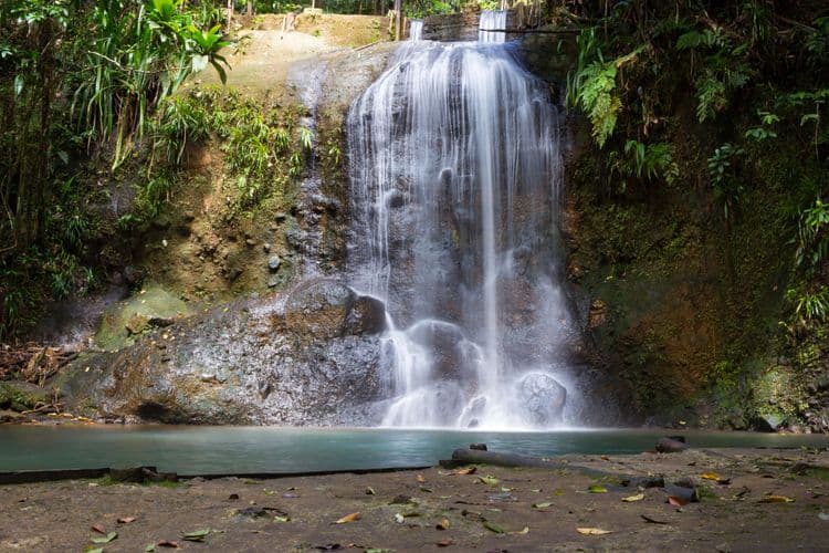 Colo - I - Suva Forest Park & Waterfall Tour