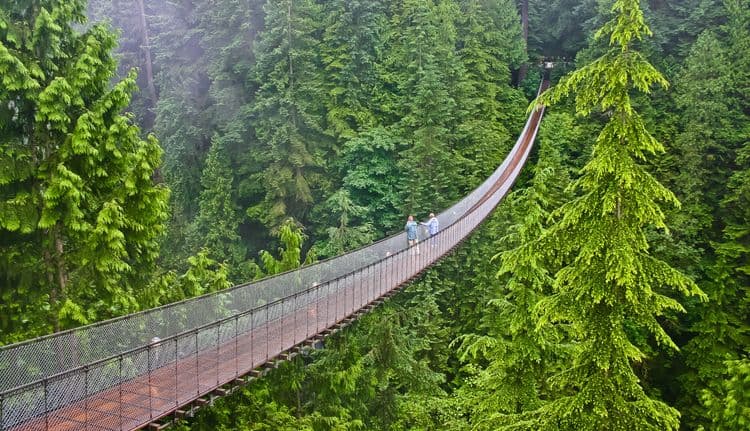 Vancouver Highlights & Capilano Park
