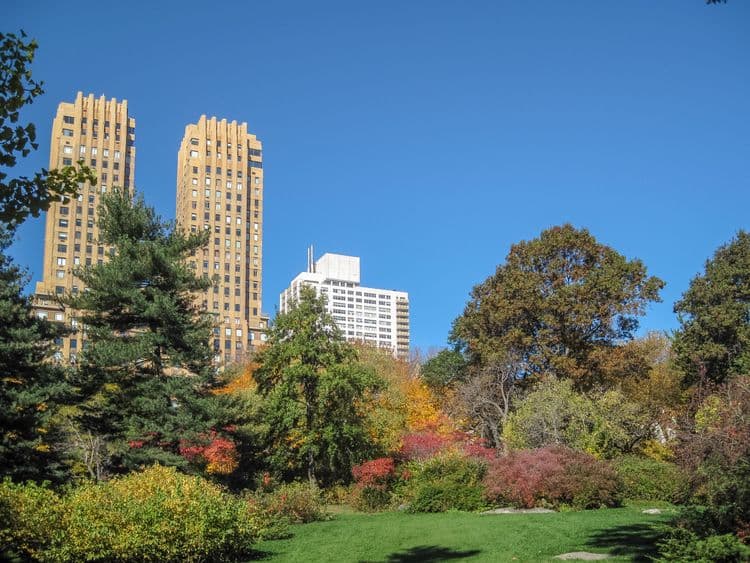 Central Park & The Met