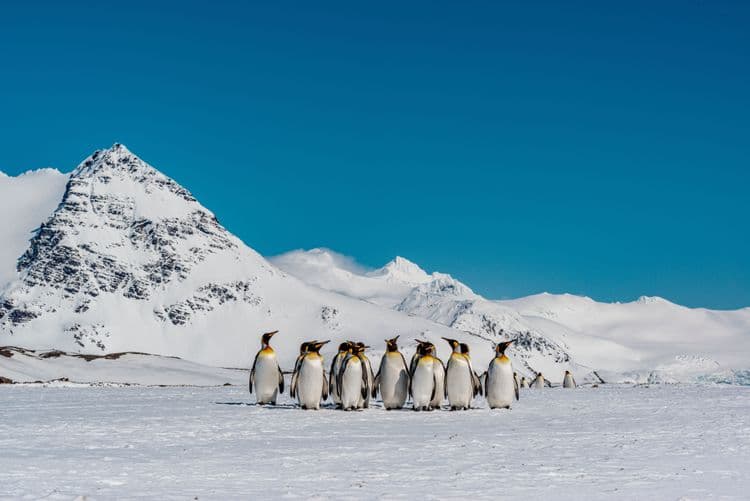 Expedition Activities with Silversea Expedition Team
