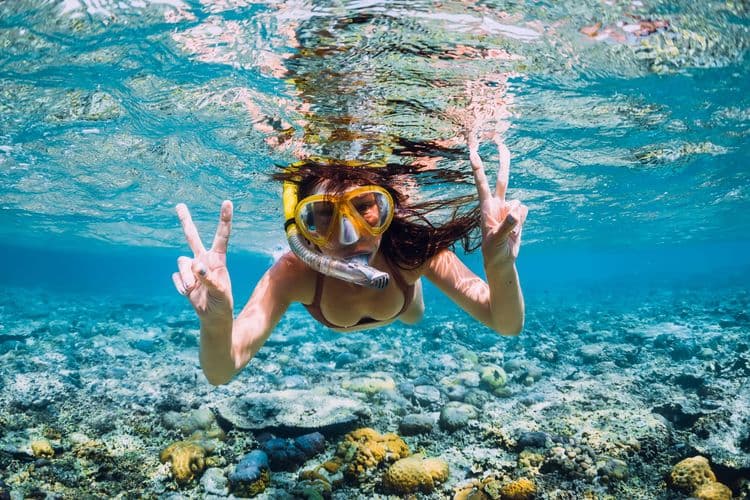 Snorkel Safari