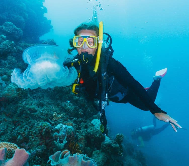 Science Snorkeling on Great Barrier Reef