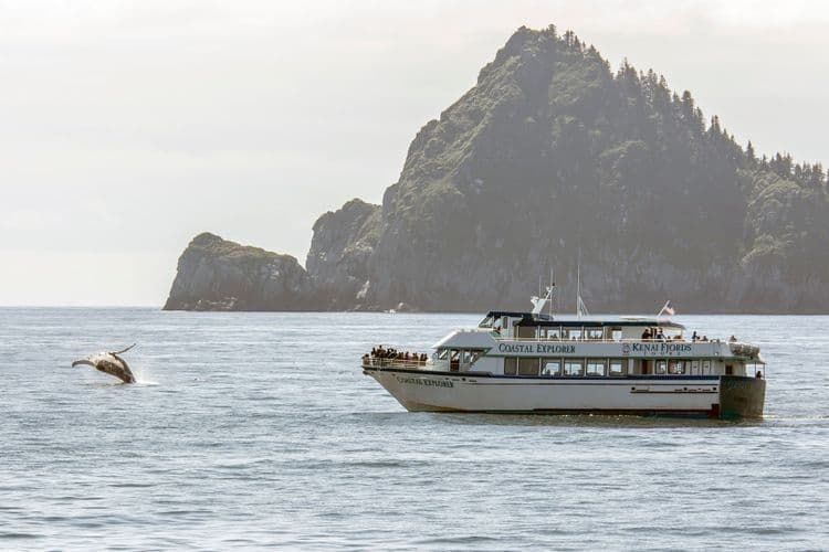 Private Whale & Wildlife Cruise