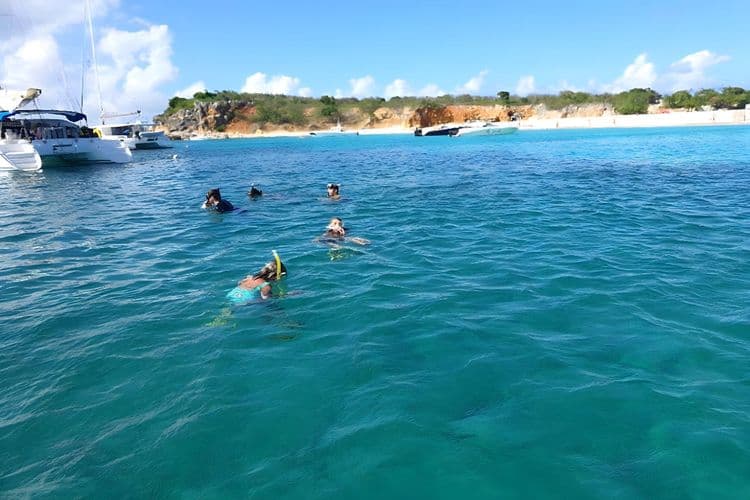 Reef Snorkeling Adventure off Saint-Barthélemy