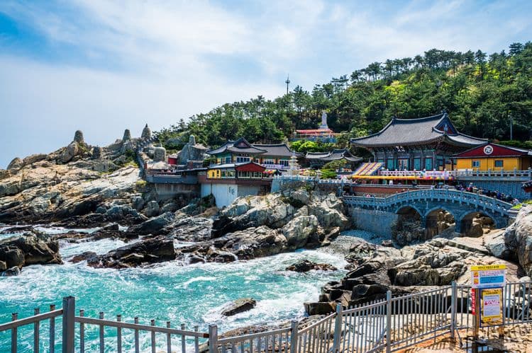 Highlights of Busan