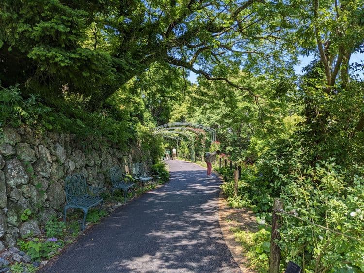 Makino Botanical Garden & Katsurahama