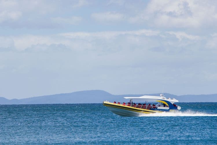 Rugged Tasmanian Coast via RIB-Boat