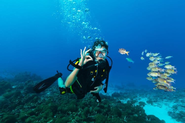 2-Tank Scuba Diving for Certified Divers