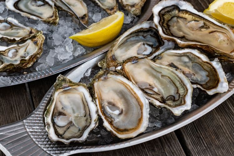 The Taste of Coffin Bay Oysters