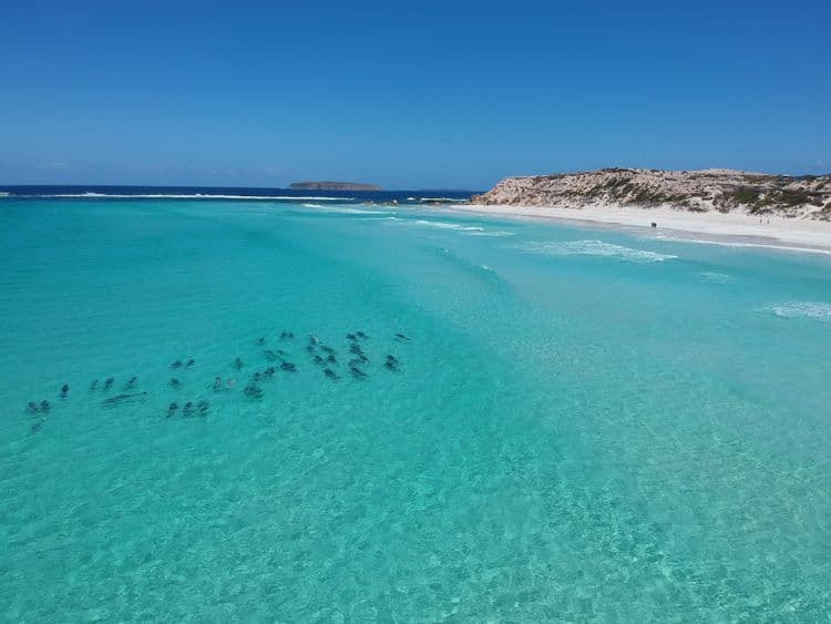 Port Lincoln & Boston Bay Wines