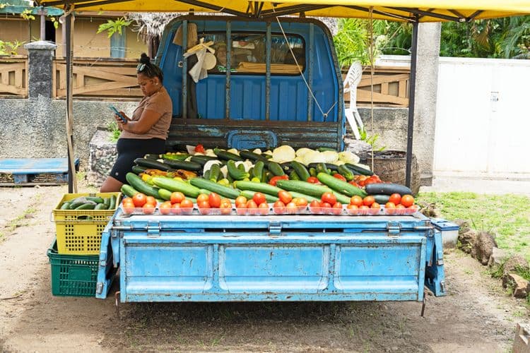 Bora Bora by Local Truck