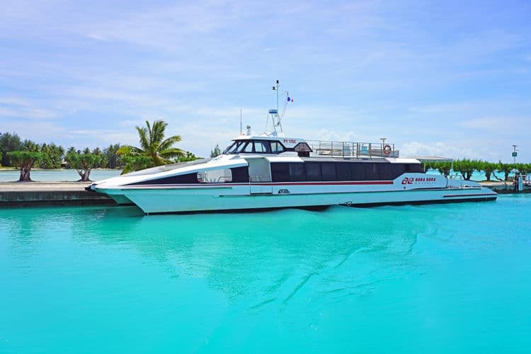 Glass Bottom Boat Cruise
