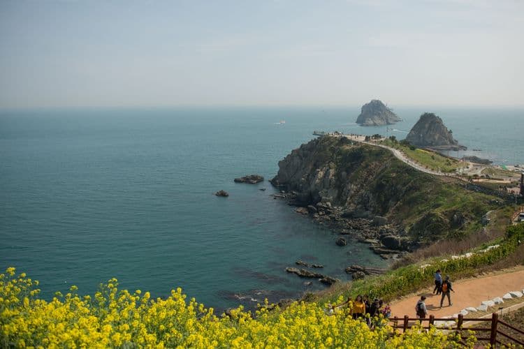 Busan Hiking Experience