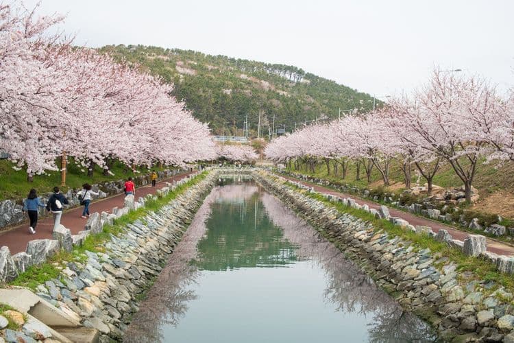 Busan: Reflections of History & Local Life