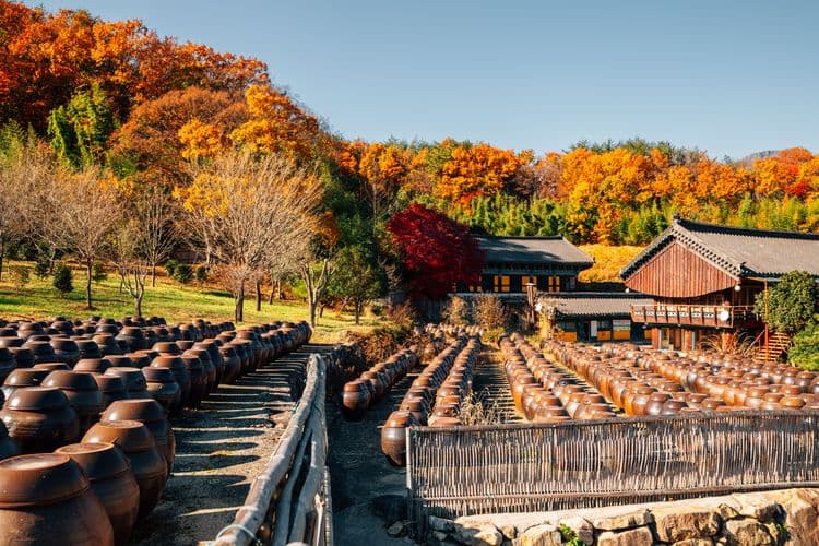 UNESCO Tongdosa Temple & Ulsan Cultural Experience