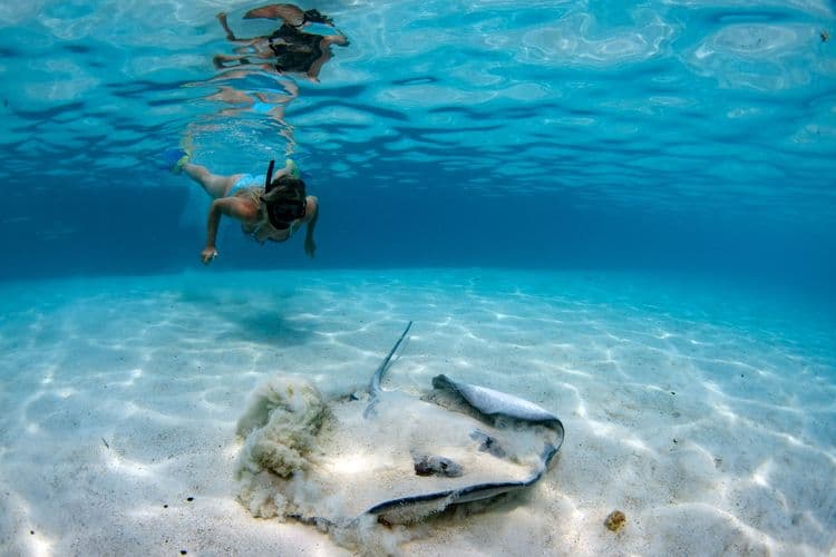 Drift Snorkeling at Tahaa Coral Garden
