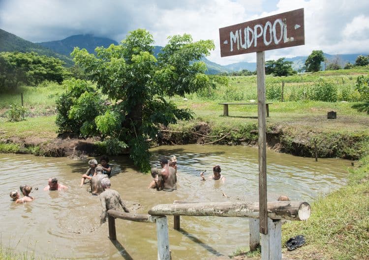 Fiji Natural Thermal Mud Pool