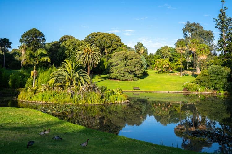 Royal Botanic Gardens & Aboriginal Heritage Walk