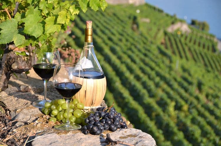 S.A.L.T. Fire & Grapes: an Italian Barbecue Feast with Wines on the Tuscan Hills