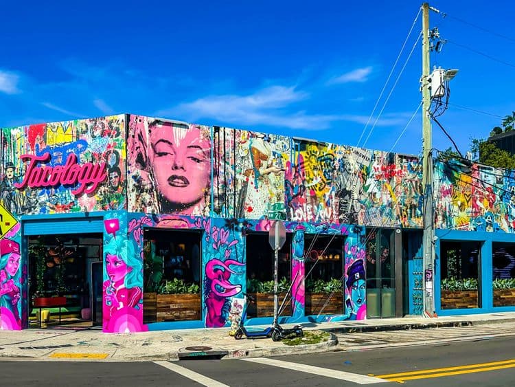 Wynwood - Miami's Artistic Wonders (Tour and Hotel Transfer)