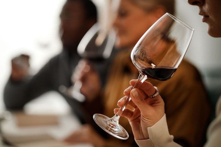 Wine Discovery & Shopping in St. Jean
