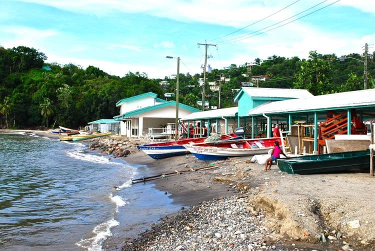 Wheelchair Accessible Tour: St Lucia Highlights