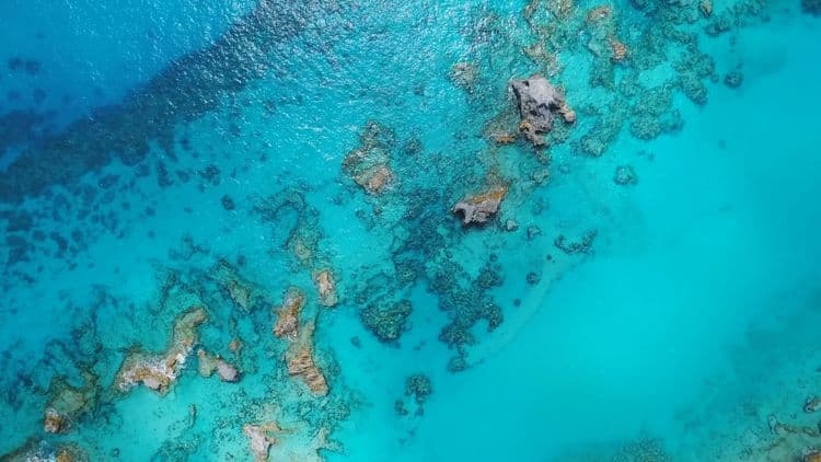 Sunset Glass-Bottom Cruise