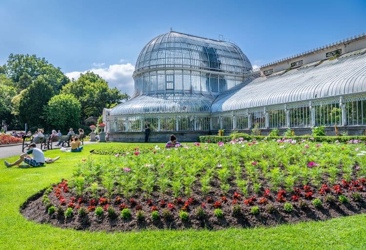 Wheelchair Accessible - Belfast City Highlights