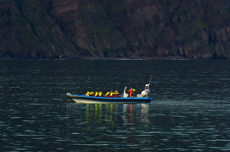 RIB Coastal Safari with Skipper