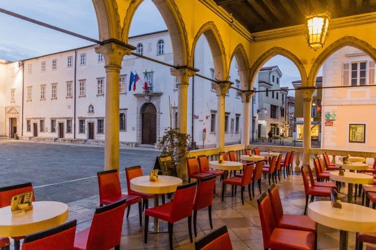 Local Slovenia: Intimate Lunch at Family Home, Wine Cellar Visit