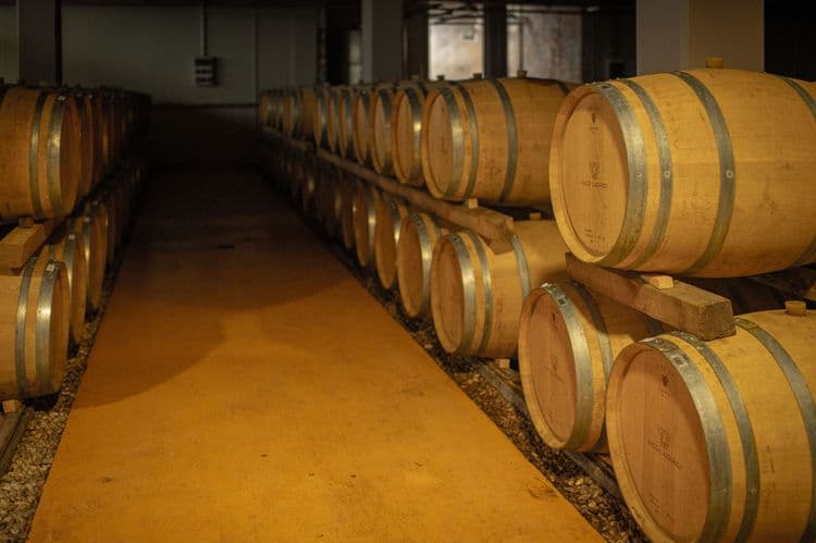 Jeep Adventure & Winery Visit